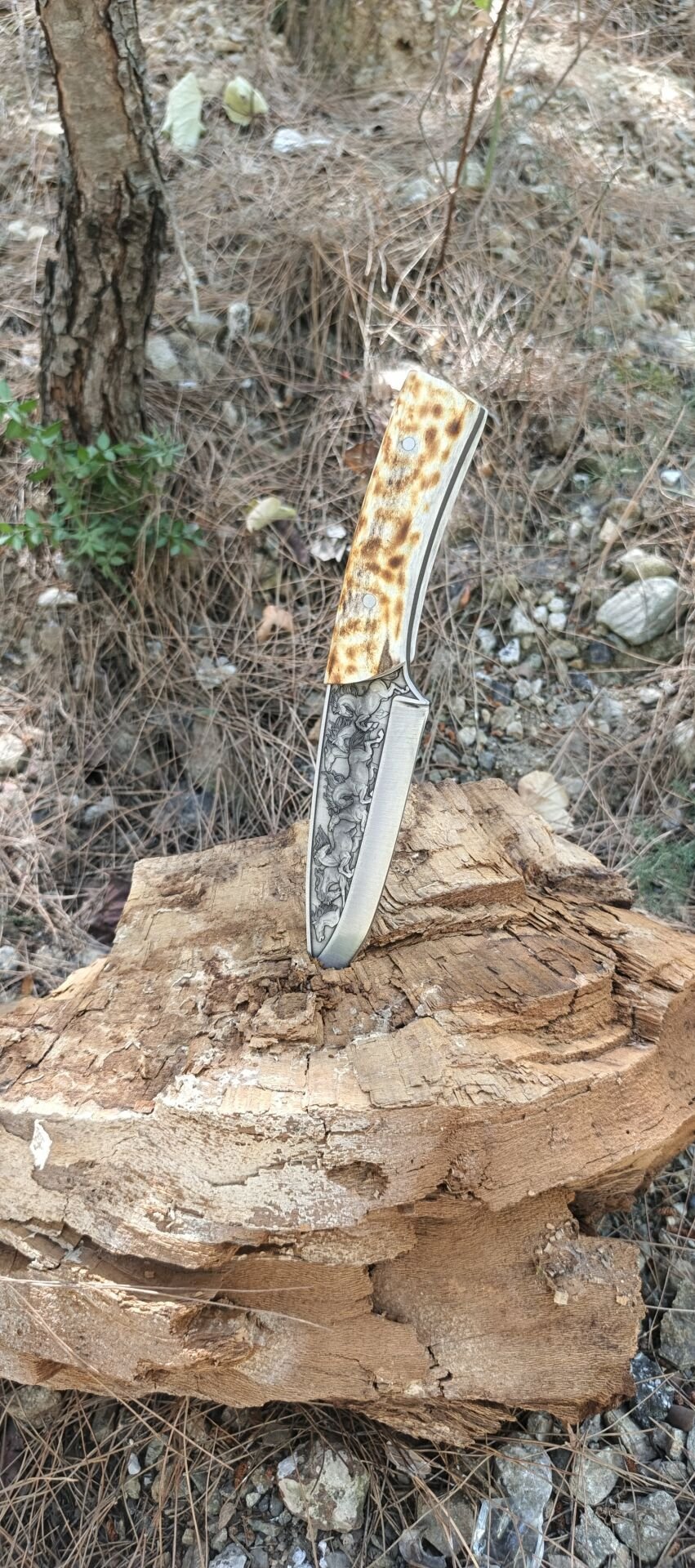 Geyik boynuzu kabza At gravur işlemeli güzel bir Avcı