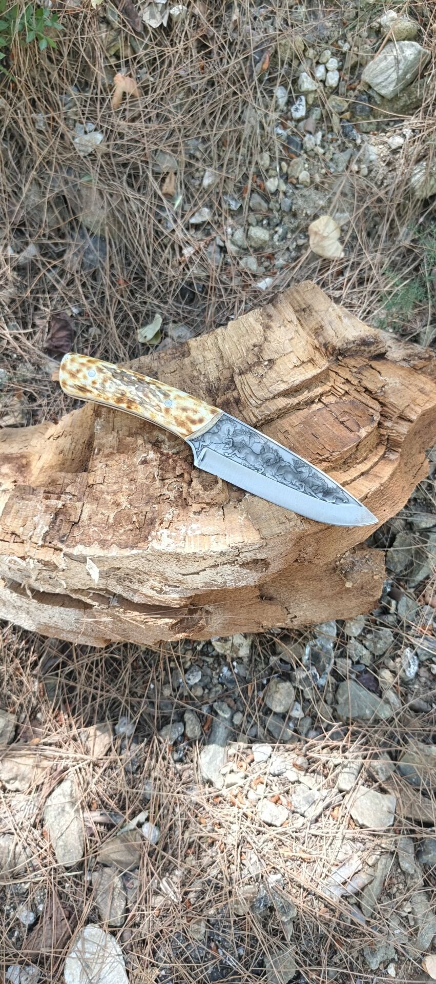 Geyik boynuzu kabza At gravur işlemeli güzel bir Avcı
