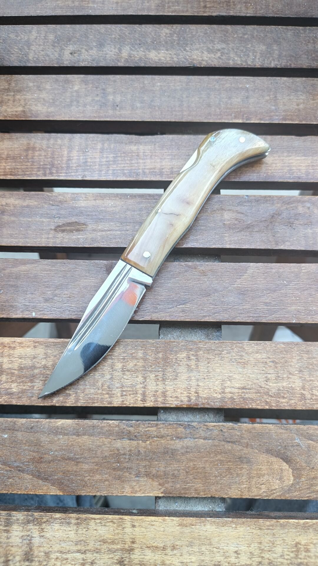 Koc Boynuzu Ayna perdağlı sırttan kilitli