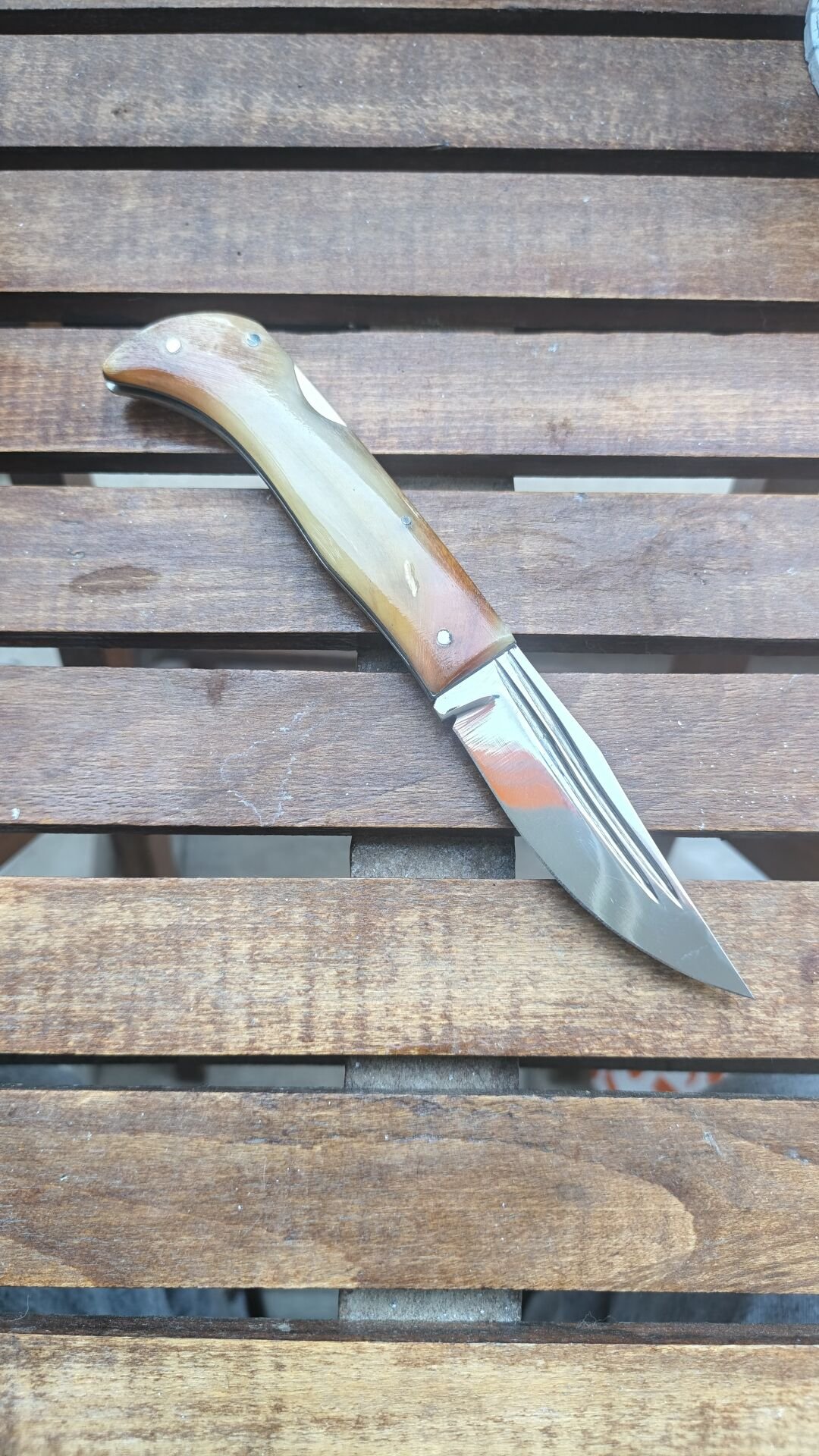 Koc Boynuzu Ayna perdağlı sırttan kilitli
