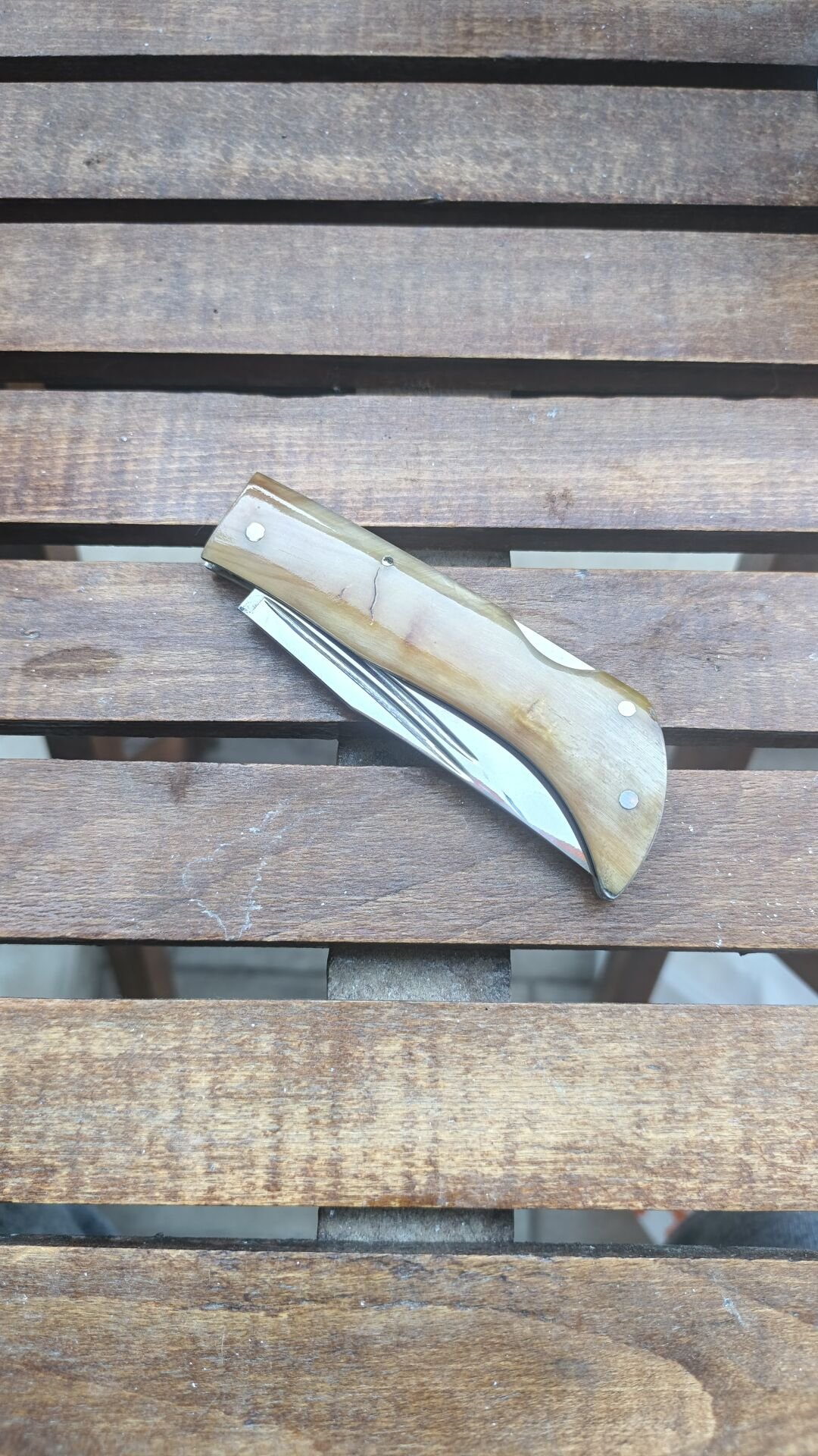 Koc Boynuzu Ayna perdağlı sırttan kilitli