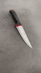 Penguen kasap bıcağı