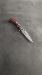 Haps Bugs yarı otomatik ahşap kabza